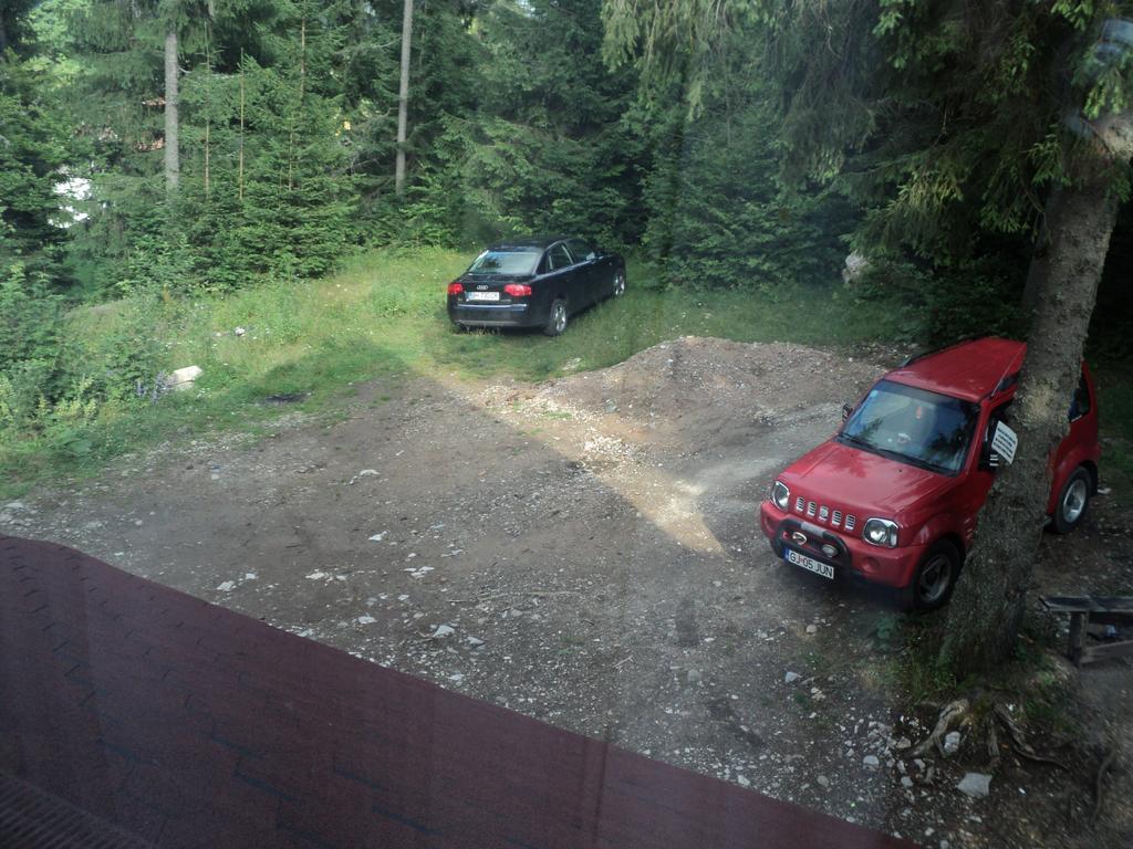 Cabana Suvenirurilor Скэришоара Экстерьер фото