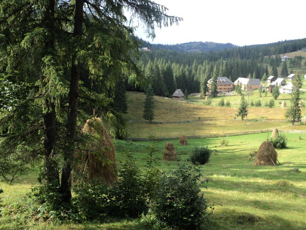 Cabana Suvenirurilor Скэришоара Экстерьер фото