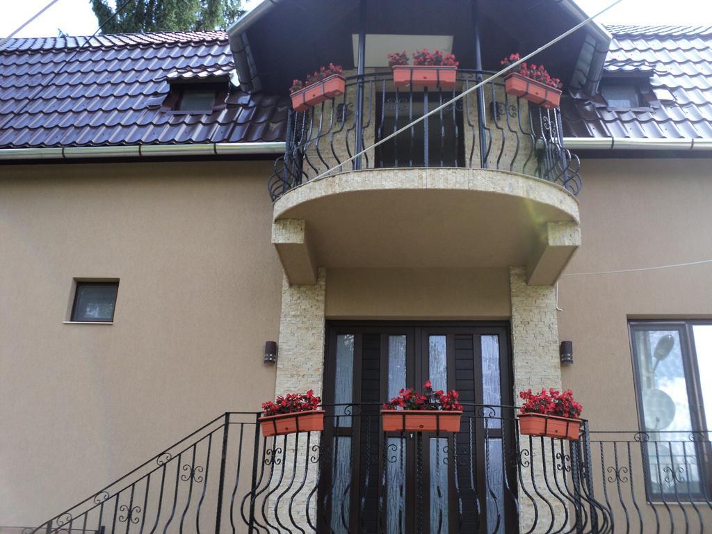 Cabana Suvenirurilor Скэришоара Экстерьер фото